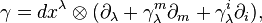\gamma=dx^\lambda\otimes (\partial_\lambda +\gamma_\lambda^m\partial_m + \gamma_\lambda^i\partial_i),