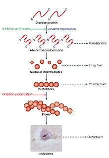 Diagram of proteins and fibers