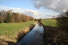 It is a bright February day, with some blue sky between rolling white clouds. A decent-sized stream, well filled with fast-moving water runs toward us down the middle of the picture. On eather side are wide, flat grassy banks. On the left is a footpath, and further left a stand of bare-branched silver birch, with a single evergreen spruce at our end of the plantation. On the right, in the immediate foreground, is a bare blackthorn bush. Behind that the right bank extends away as a field planted with winter wheat. The original photographer wrote:'Bottesford Beck. Looking east along Bottesford Beck, years ago it was heavily polluted with outflow from Scunthorpe steelworks, today it flows to the Trent much clearer.'