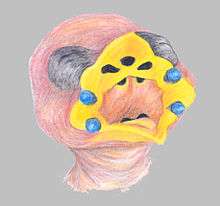 A chick's open mouth showing yellow interior, black marking and blue balls in the corners