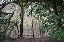 Fern House Gravel Pit