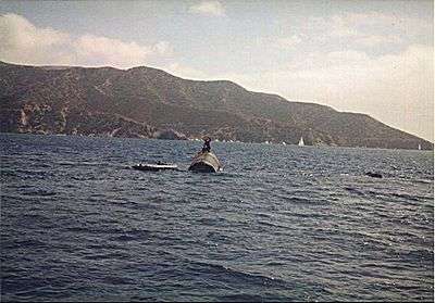 The tank floating on the surface of the water.
