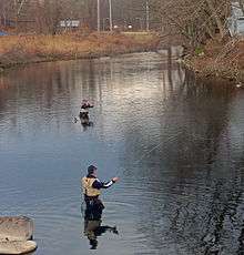 Two men in waders casting long fishing poles with yellow-colored line in flat water on a bend of a river, seen from slightly above the water.
