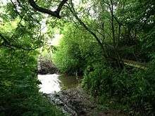 Buried in woodland, lit by dappled sunlight, a muddy stream crosses the path, forming a small ford. The path is muddy and shows tracks of vehicle wheels.
