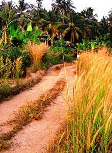 Homeo road.January.jpg