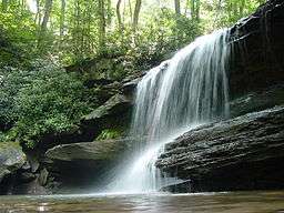 A waterfall drops over layered rocks in a green forest