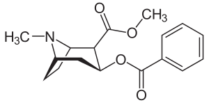 Cocaine, a precursor for anatoxin-a synthesis.
