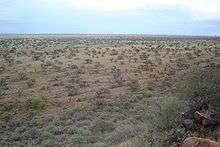 Present-day elevated view of the open ground over which the British advanced