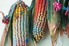 Los duendes del campo decoraron el patrimonio durante la noche (2013)