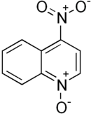 Structural formula of 4-nitroquinoline 1-oxide