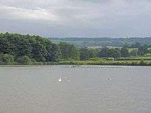 Expanse of water with white birds. Trees and hills in the background