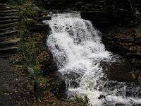 A wide slide falls, with a hiking trail on the left. Native stone stairs for the trail ascend the glen. Newly fallen leaves litter the rocks on the edge of the stream.