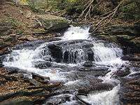 A slide falls with a large rock in the center of the stream dividing the falls to the left and right. A large flat-topped boulder is on the left bank in the center, and dead limbs reach down into the stream at top right. Fallen leaves cover many of the rocks along the stream.