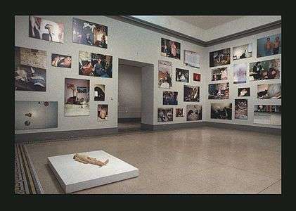 Sensation Young British Artists from the Saatchi Collection at the Brooklyn Museum 11.jpg