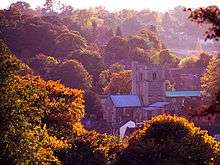 Photograph of the Parish church surrounded by trees.
