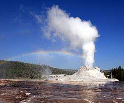 Geyser of water and steam erupting from an ashen cone.