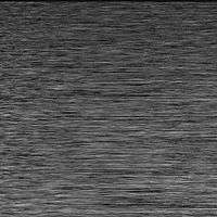 History of speckle pattern of a biscuit with high molecular activity