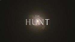 series title over a light source