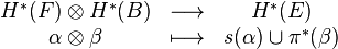 \begin{array}{ccc}
H^* (F)\otimes H^*(B) & \longrightarrow & H^* (E) \\
\alpha \otimes \beta & \longmapsto & s (\alpha)\cup \pi^*(\beta)
\end{array}